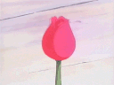 hellokittyy emote