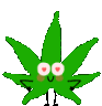 weedluv emote