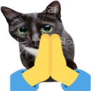 pray_cat Emote