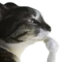 emoji_94 emote