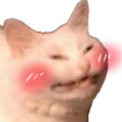 catblush emote