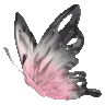8_wings2 Emote
