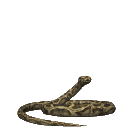emoji_60 Emote