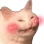 blush_cat Emote