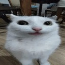 erm emote