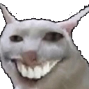 weshcat emote