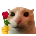 flower Emote