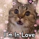 emoji_87 emote