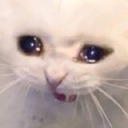 V_cry emote