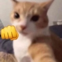 emoji_98 emote