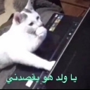emoji_9 Emote