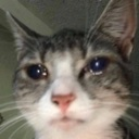 waaaaaa emote