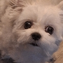 f_weee emote