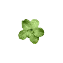 emoji_123 emote