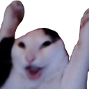 YAYkitty emote