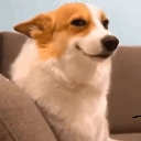 emoji_110 emote