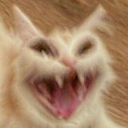 hahahahahahahaha emote