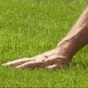 Touch_Grass Emote