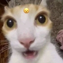HY_Huh emote