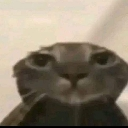 emoji_1 emote