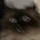 panic emote