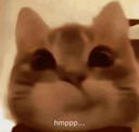 937042hmpppcat Emote