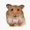 hamster_ok Emote