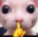 shhh emote