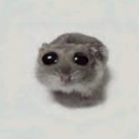 Suad Emote