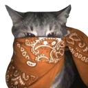 3477orangebandanacat emote
