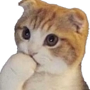 cat_think Emote