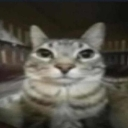 mood_car Emote
