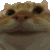 a_catyes emote