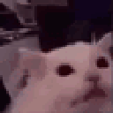 9183flashbang emote