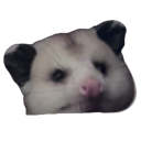 lilsquirt emote