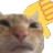 V_Disagree emote