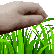 touchgrass Emote