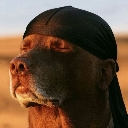 peace_ofmind Emote