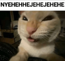 evilcat emote