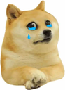 DogeSad emote