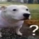 whatmemberly emote