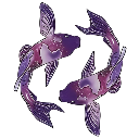 purple Emote