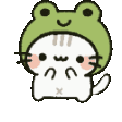 2_nv_srio_froggykitty emote