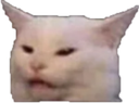 png Emote