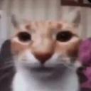 emoji_6 emote