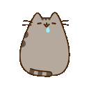 PusheenDrool emote