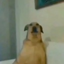 emoji_36 Emote