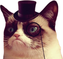 2524grumpycattophat emote
