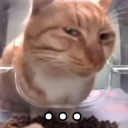 OOHH_I_SEE Emote