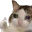 okaye emote